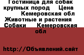 Гостиница для собак крупных пород. › Цена ­ 1 000 - Кемеровская обл. Животные и растения » Собаки   . Кемеровская обл.